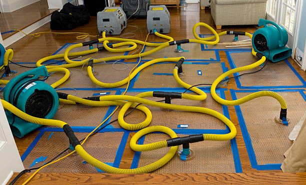 Professional Basement Flood Cleanup technician working in Brookside, DE